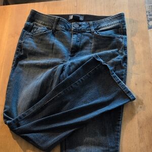 Democracy Dark Blue Skinny Jeans